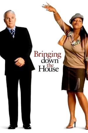 Bringing Down the House (2003) บรรยายไทย