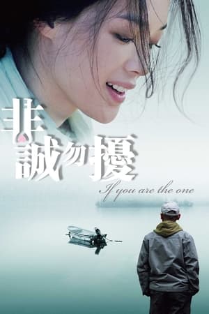 If You Are the One (Fei cheng wu rao) ผิดรักหัวใจหลงลึก (2008) บรรยายไทย