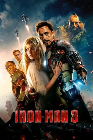 Iron Man 3 – ไอรอนแมน 3 มหาประลัยคนเกราะเหล็ก ภาค 3 (2013)
