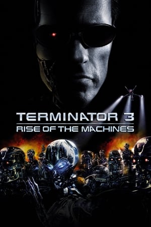 Terminator 3 Rise of the Machines ฅนเหล็ก 3 กำเนิดใหม่เครื่องจักรสังหาร (2003)