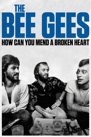 The Bee Gees How Can You Mend a Broken Heart บีจีส์ วิธีเยียวยาหัวใจสลาย (2020) บรรยายไทย