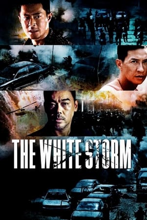 The White Storm (So duk) โคตรคนโค่นคนอันตราย (2013)