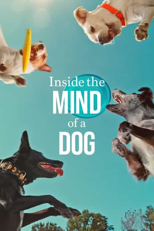 Inside the Mind of a Dog อ่านใจสุนัข (2024) NETFLIX