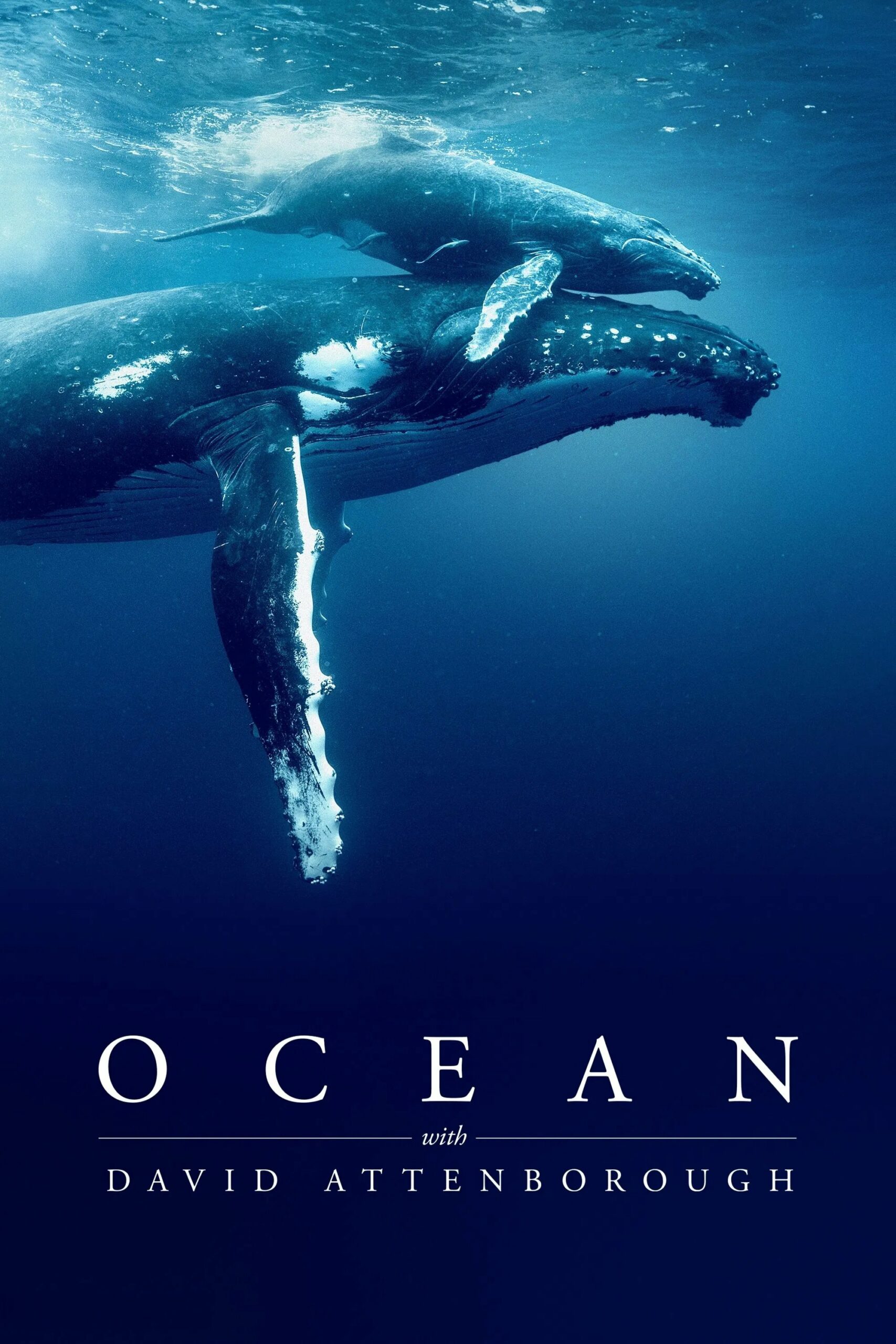 Ocean with David Attenborough Ocean with David Attenborough