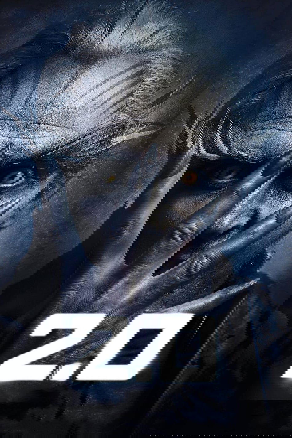 2.0 2.0